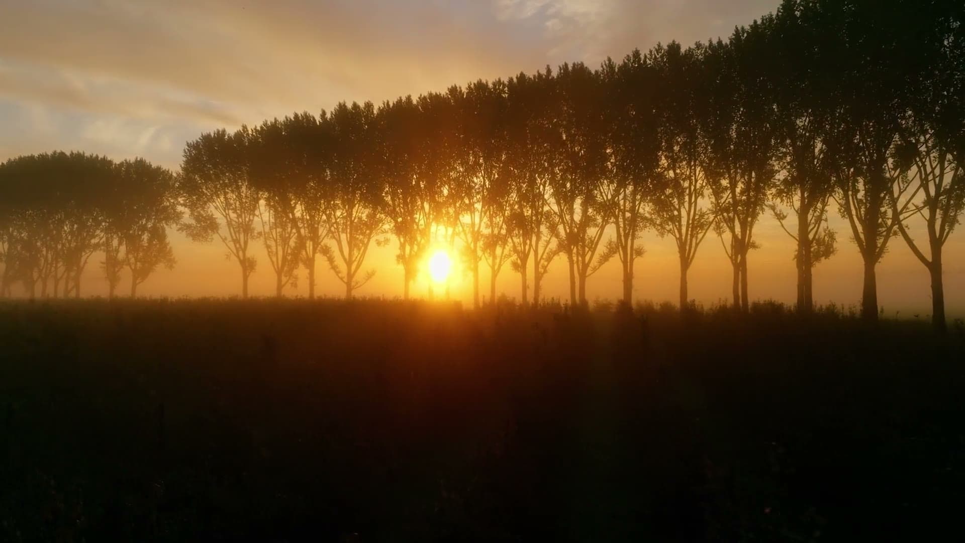 Cinematic aerial cinematography by Apex Films — landscape at golden hour